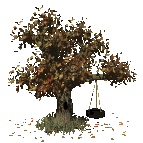 leaves fall from the